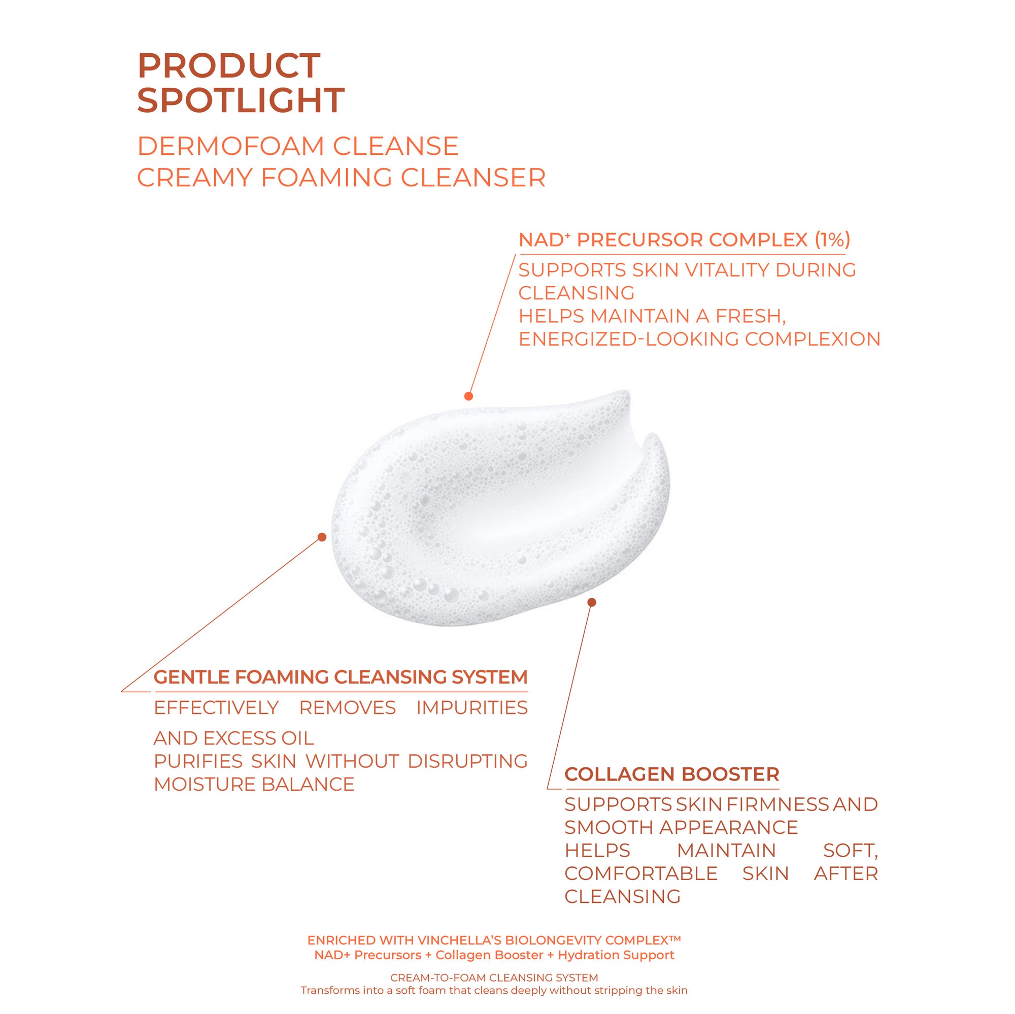 DermoFoam Cleanse  Creamy Foaming Cleanser