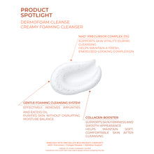 DermoFoam Cleanse  Creamy Foaming Cleanser